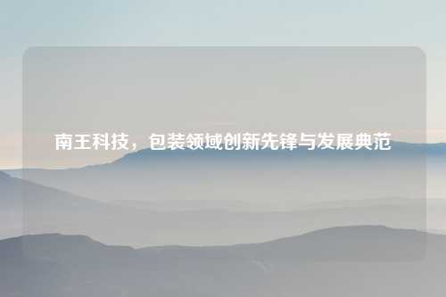 南王科技，包装领域创新先锋与发展典范