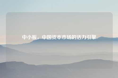 中小板，中国资本市场的活力引擎