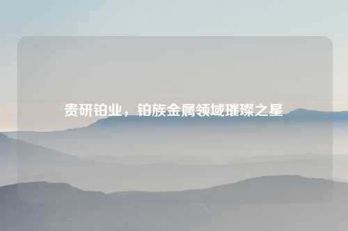 贵研铂业，铂族金属领域璀璨之星