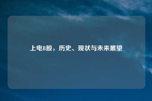 上电B股，历史、现状与未来展望