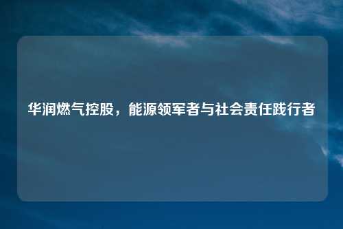 华润燃气控股，能源领军者与社会责任践行者