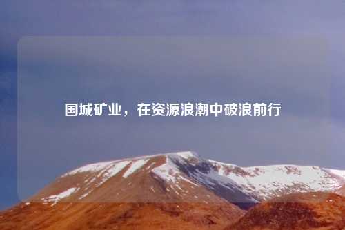 国城矿业，在资源浪潮中破浪前行