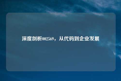 深度剖析002569，从代码到企业发展