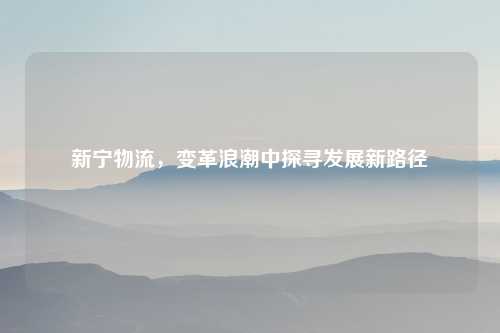 新宁物流，变革浪潮中探寻发展新路径