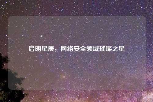 启明星辰，网络安全领域璀璨之星