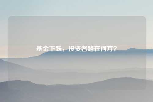 基金下跌，投资者路在何方？