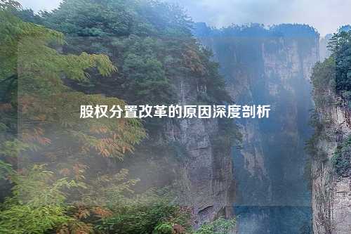 股权分置改革的原因深度剖析