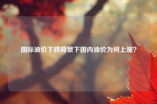国际油价下跌背景下国内油价为何上涨？