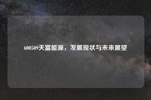 600509天富能源，发展现状与未来展望