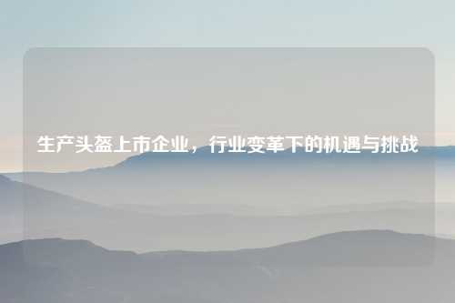 生产头盔上市企业，行业变革下的机遇与挑战