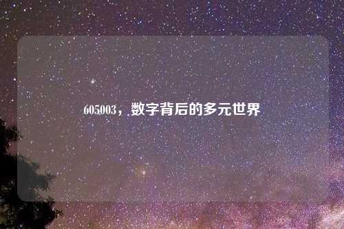 605003，数字背后的多元世界