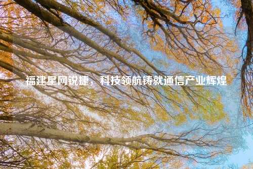 福建星网锐捷，科技领航铸就通信产业辉煌