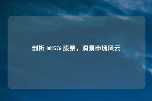 剖析 002576 股票，洞察市场风云
