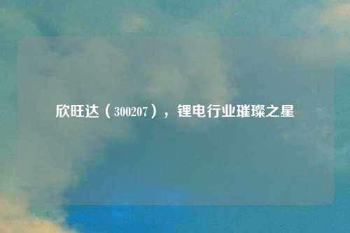 欣旺达（300207），锂电行业璀璨之星