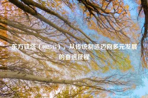 东方铁塔（002545），从传统制造迈向多元发展的奋进征程