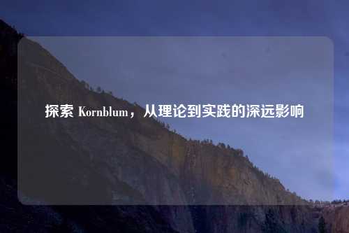 探索 Kornblum，从理论到实践的深远影响