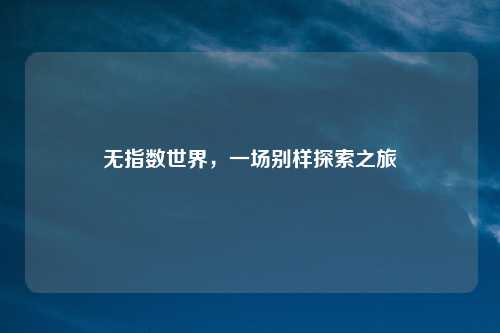无指数世界，一场别样探索之旅