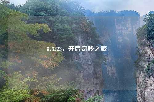 873223，开启奇妙之旅