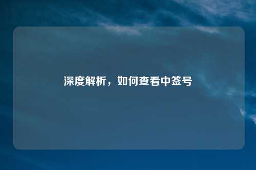 深度解析，如何查看中签号