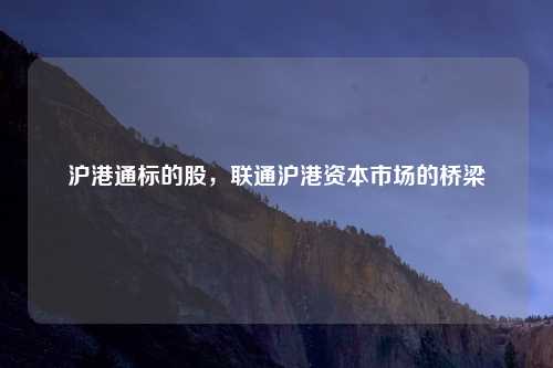 沪港通标的股，联通沪港资本市场的桥梁