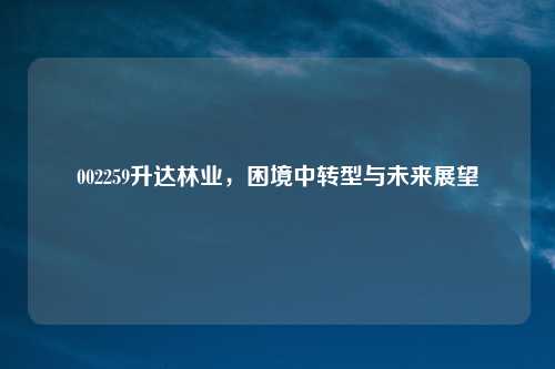 002259升达林业，困境中转型与未来展望