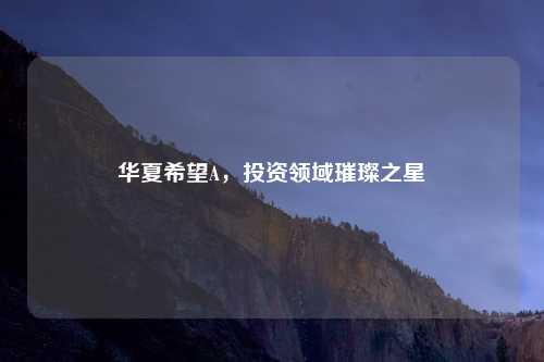 华夏希望A，投资领域璀璨之星