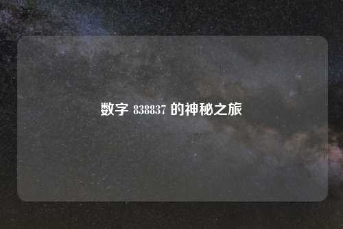 数字 838837 的神秘之旅