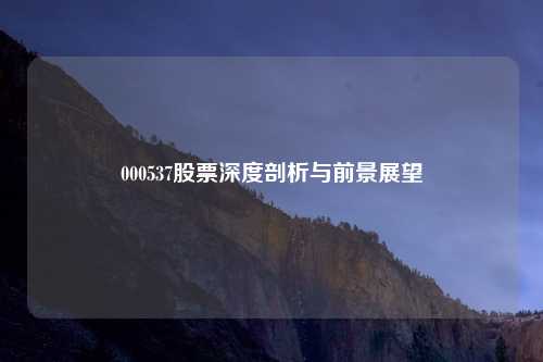 000537股票深度剖析与前景展望