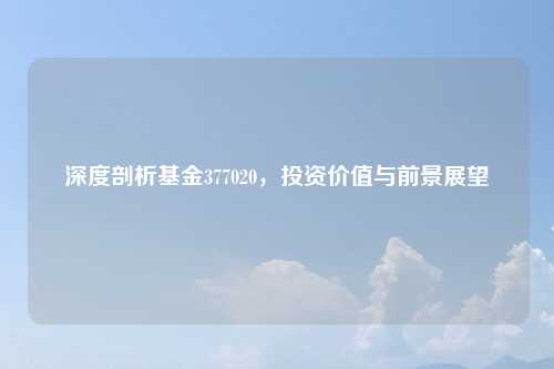 深度剖析基金377020，投资价值与前景展望
