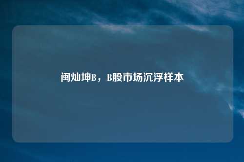 闽灿坤B，B股市场沉浮样本