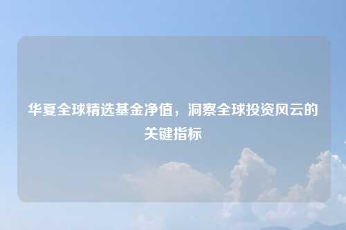 华夏全球精选基金净值，洞察全球投资风云的关键指标