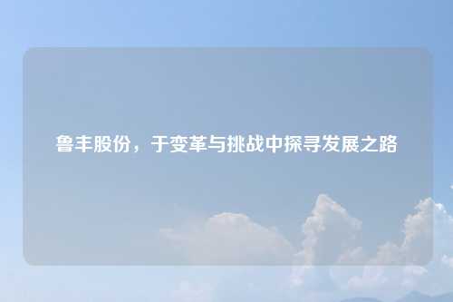 鲁丰股份,于变革与挑战中探寻发展之路