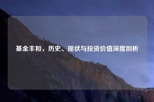 基金丰和,历史、现状与投资价值深度剖析