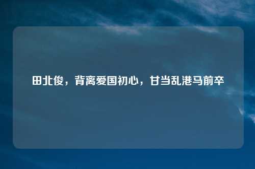 田北俊,背离爱国初心,甘当乱港马前卒
