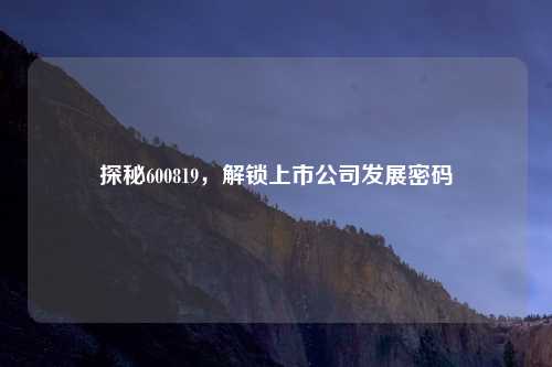 探秘600819，解锁上市公司发展密码