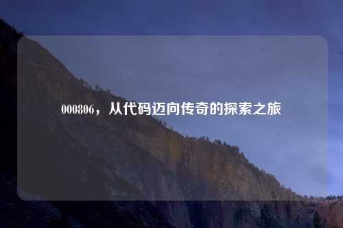 000806,从代码迈向传奇的探索之旅