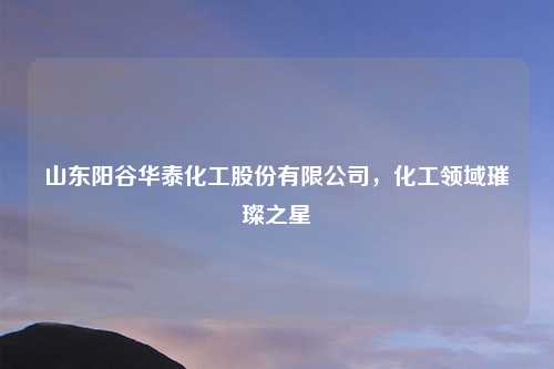 山东阳谷华泰化工股份有限公司,化工领域璀璨之星