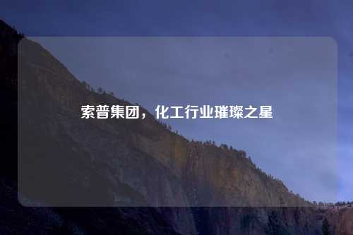 索普集团,化工行业璀璨之星
