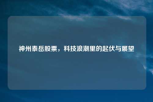 神州泰岳股票,科技浪潮里的起伏与展望