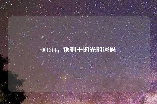 001314,镌刻于时光的密码