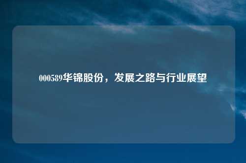 000589华锦股份,发展之路与行业展望