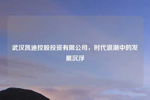 武汉凯迪控股投资有限公司,时代浪潮中的发展沉浮