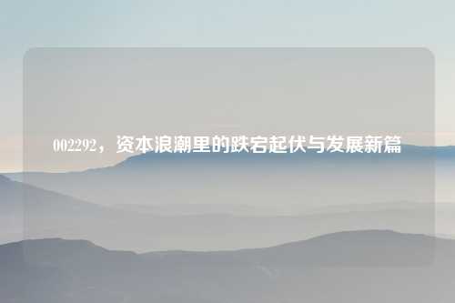 002292，资本浪潮里的跌宕起伏与发展新篇