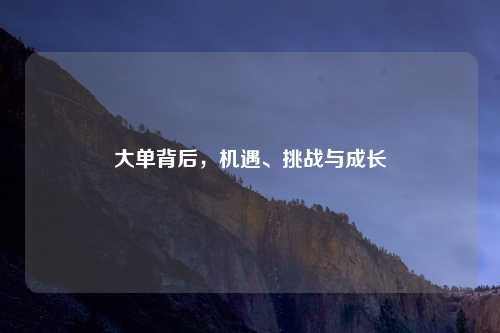 大单背后,机遇、挑战与成长