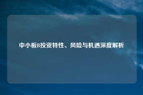 中小板B投资特性、风险与机遇深度解析
