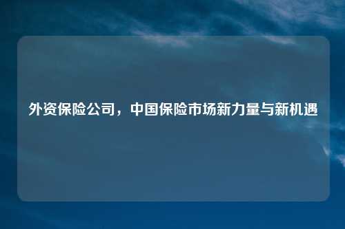 外资保险公司，中国保险市场新力量与新机遇
