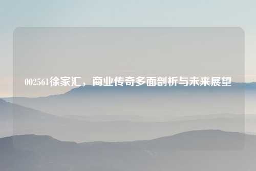 002561徐家汇,商业传奇多面剖析与未来展望