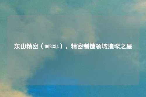东山精密(002384),精密制造领域璀璨之星