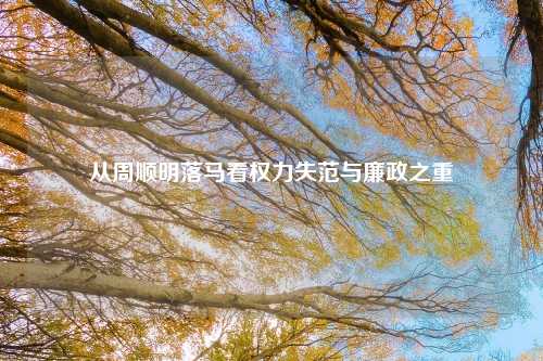 从周顺明落马看权力失范与廉政之重