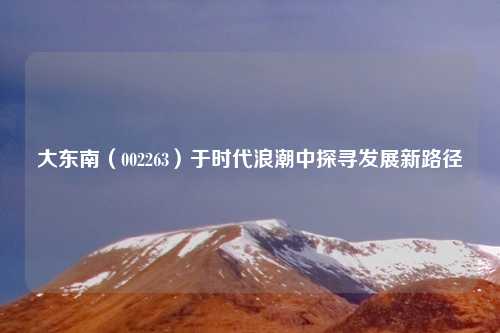 大东南(002263)于时代浪潮中探寻发展新路径